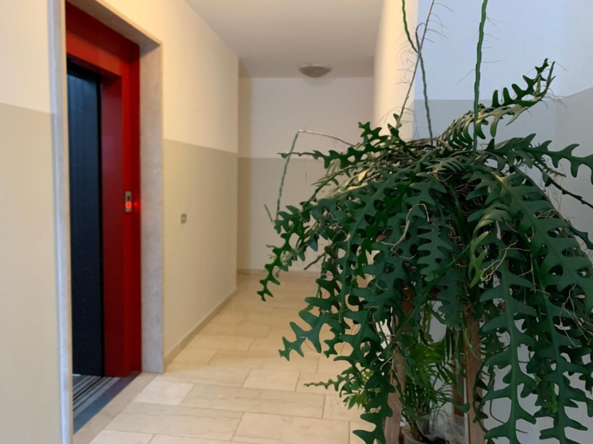 B&B Verona Business And Fun G B Rossi Friendly Exterior photo